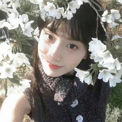 蜘蛛